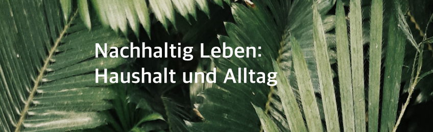 Nachhaltig Leben: Alltag und Haushalt